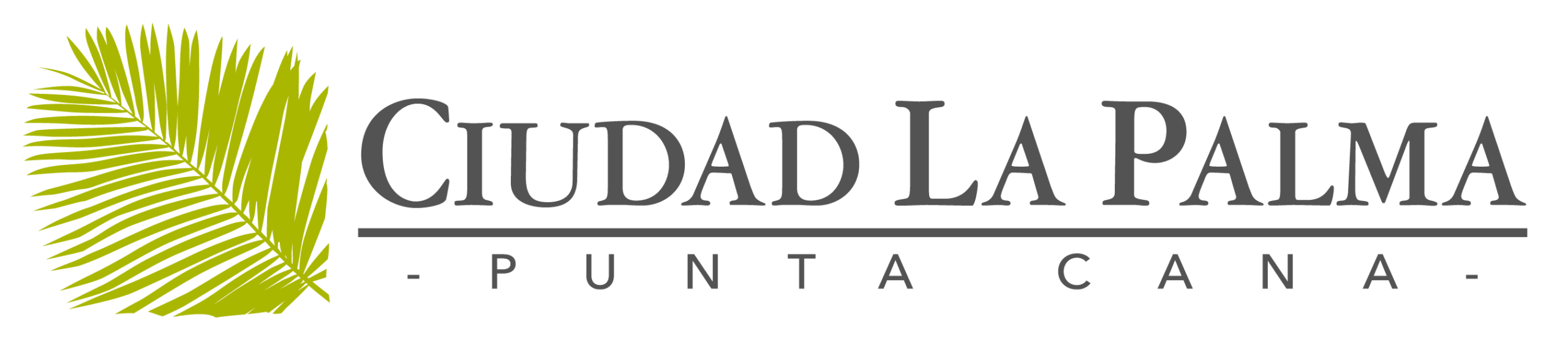 Ciudad La Palma